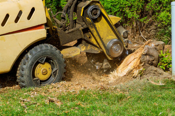  , USA Tree Services Pros